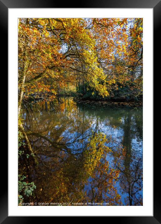 Reflections of Autumn Foliage Framed Mounted Print by Graham Prentice
