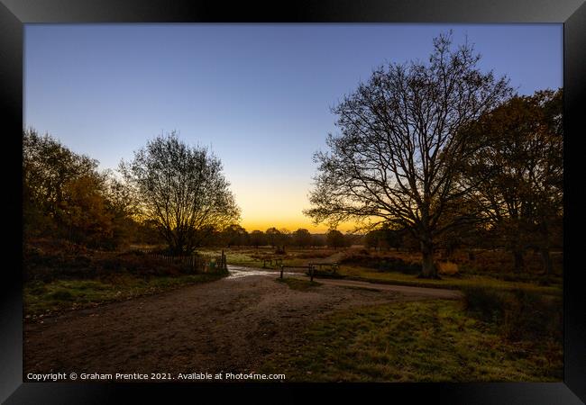 Richmond Park Sunrise Framed Print by Graham Prentice