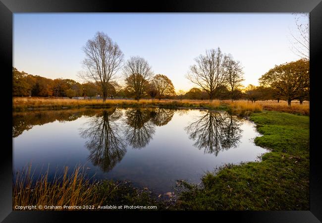 Richmond Park Morning At White Ash Pond Framed Print by Graham Prentice