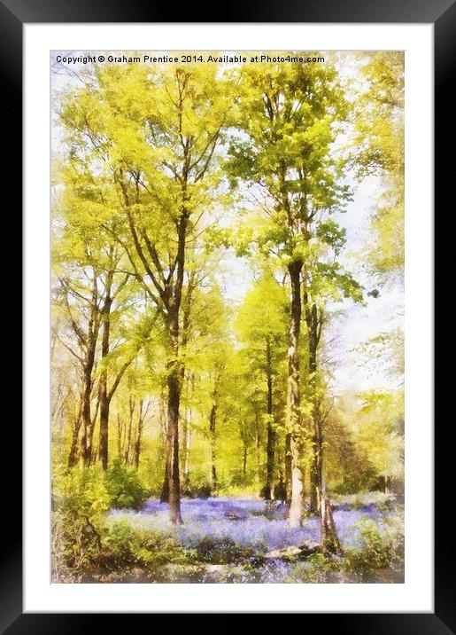 Bluebell Woods Framed Mounted Print by Graham Prentice