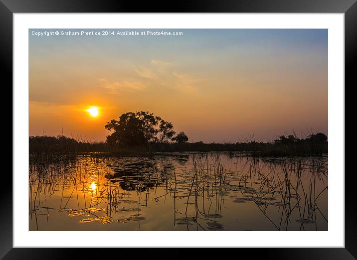 Sunset In Okavango Delta Framed Mounted Print by Graham Prentice