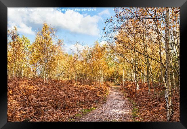 Autumn Path Framed Print by Graham Prentice
