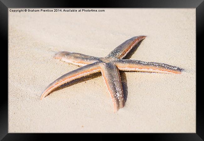 Starfish Framed Print by Graham Prentice