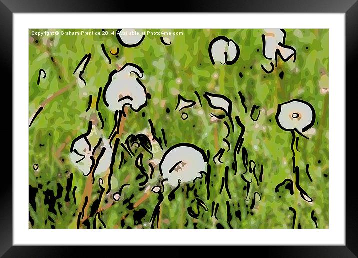 Abstract Dandelion Field Framed Mounted Print by Graham Prentice