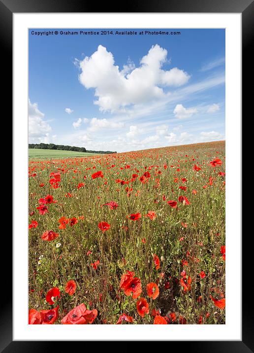  Norfolk Poppy Field Framed Mounted Print by Graham Prentice