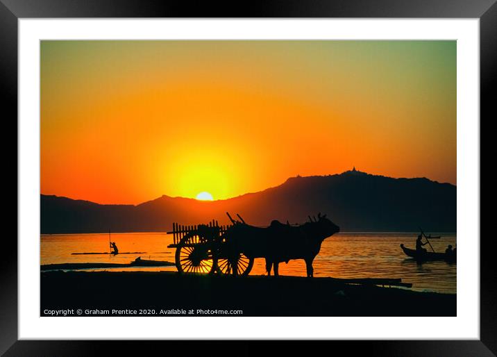 Bullock cart at sunset on the Irrawaddy River, Old Framed Mounted Print by Graham Prentice