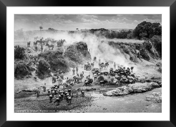 The Great Migration Framed Mounted Print by Graham Prentice