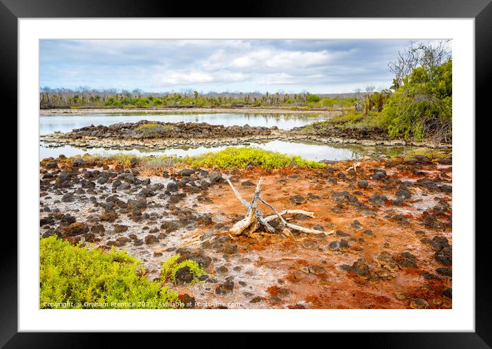 Santa Cruz Island Coastline Framed Mounted Print by Graham Prentice