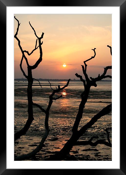 Wintery Sunset Framed Mounted Print by Debbie Mcilroy