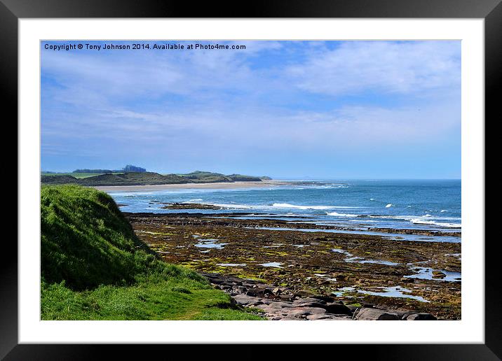 Bamburgh Castle From Seahouses Framed Mounted Print by Tony Johnson
