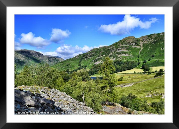 The Little Langdale Valley Framed Mounted Print by Tony Johnson