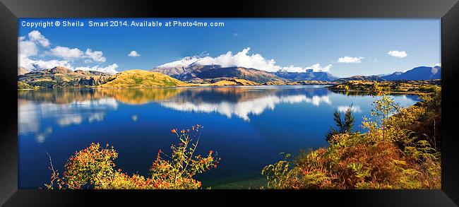 Glendhu Bay, Lake Wanaka Framed Print by Sheila Smart