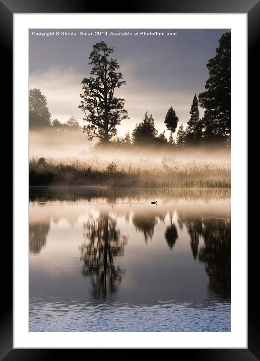 Mist over Lake Matheson Framed Mounted Print by Sheila Smart