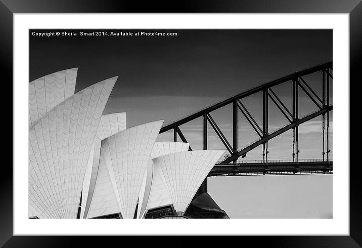 Sydney Opera House with bridge backdrop in mono Framed Mounted Print by Sheila Smart