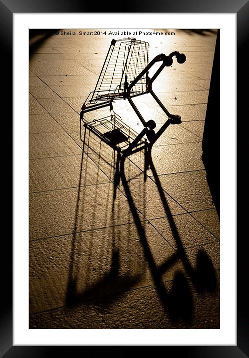 Shopping trolley silhouette Framed Mounted Print by Sheila Smart