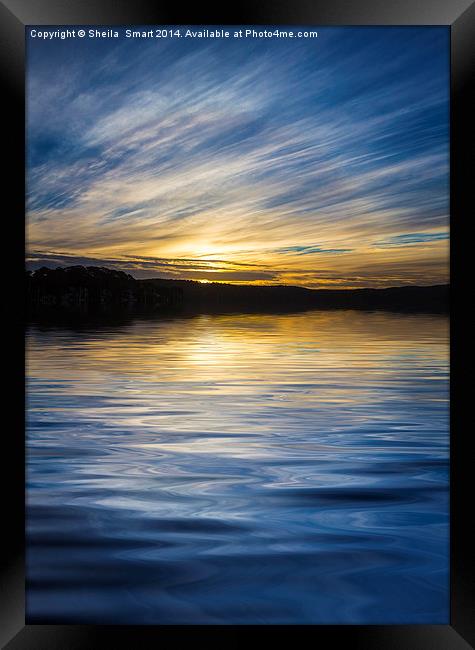 Pittwater sunset Framed Print by Sheila Smart