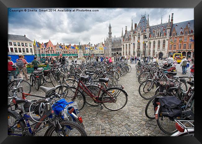 Bicycles in Brugge Framed Print by Sheila Smart