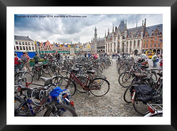 Bicycles in Brugge Framed Mounted Print by Sheila Smart