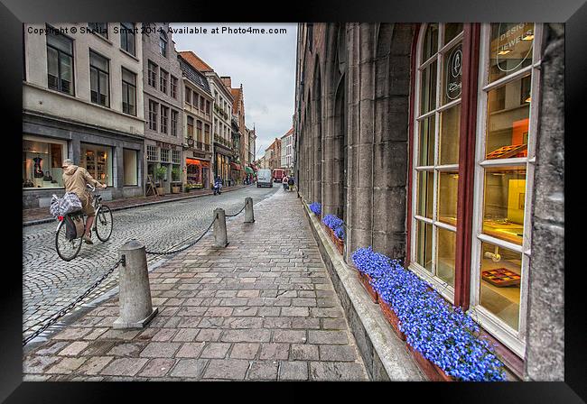 Cobbled street in Brugge Framed Print by Sheila Smart