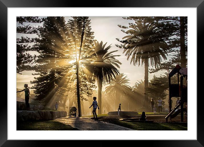 Sunbeams late afternoon Framed Mounted Print by Sheila Smart