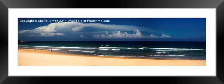Manly Beach panorama Framed Mounted Print by Sheila Smart