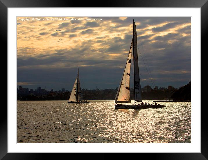  End of the day Framed Mounted Print by Sheila Smart