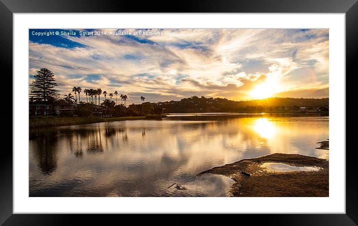  Sunset at Narrabeen Lagoon Framed Mounted Print by Sheila Smart