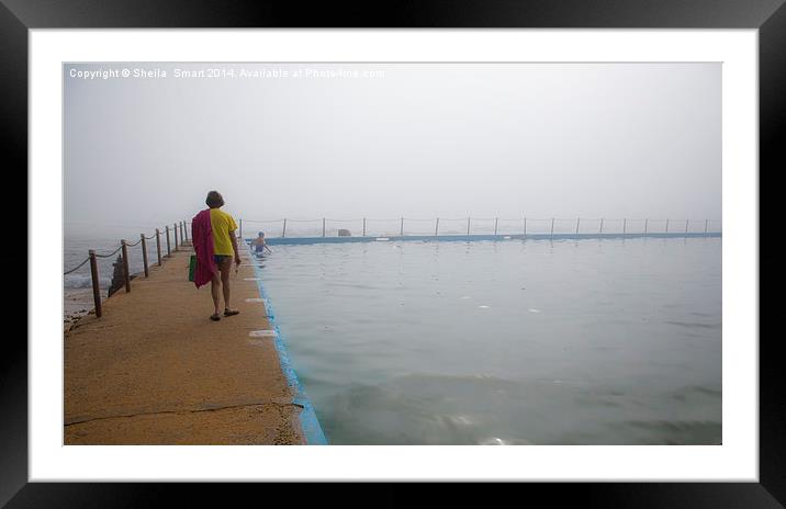  Mist over Avalon Rockpool Framed Mounted Print by Sheila Smart