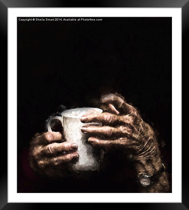  Aged hands holding a mug Framed Mounted Print by Sheila Smart