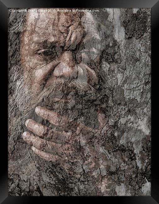 Aboriginal Australian with gum tree textured backg Framed Print by Sheila Smart