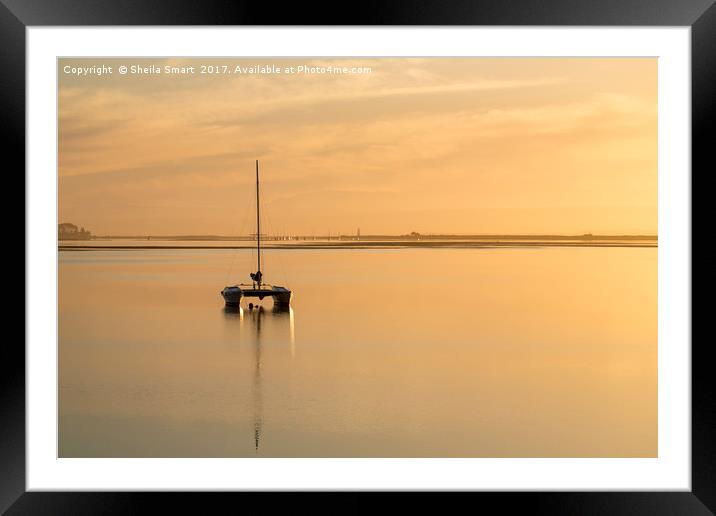 Yacht at sunset, Nelson Framed Mounted Print by Sheila Smart