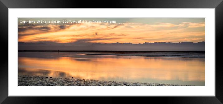 Panorama at Tasman bay, Nelson, New Zealand Framed Mounted Print by Sheila Smart