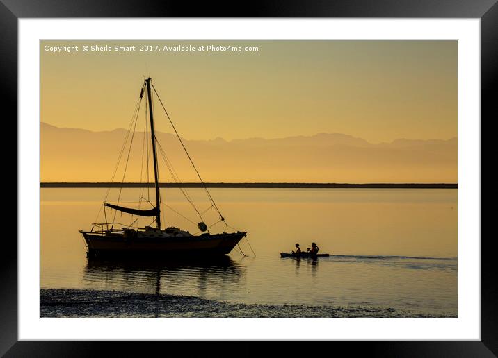 Sunset at Tasman bay Framed Mounted Print by Sheila Smart