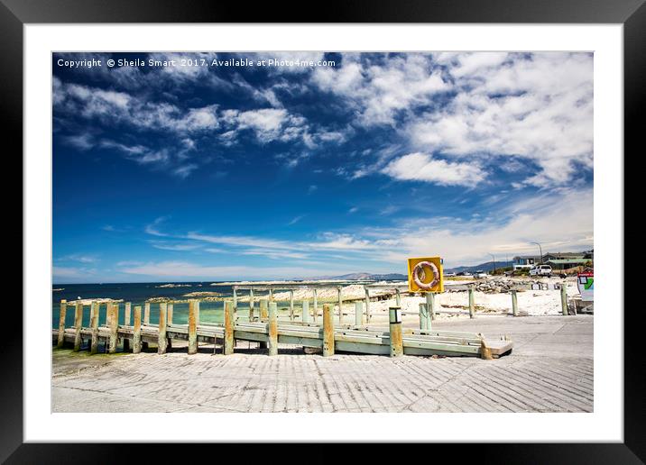 Boat Harbour, Kaikoura, New Zealand Framed Mounted Print by Sheila Smart