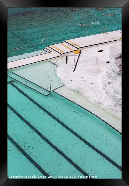 Bondi Icebergs pool Framed Print by Sheila Smart