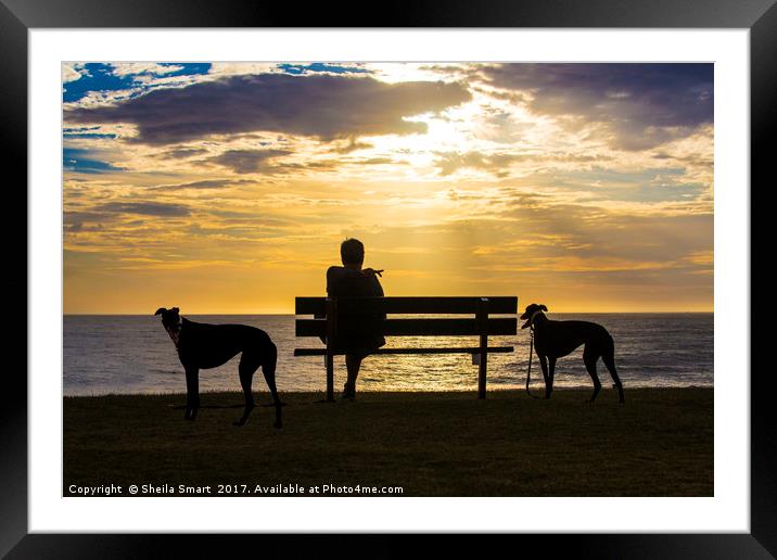 Sunrise at Palm Beach  Framed Mounted Print by Sheila Smart
