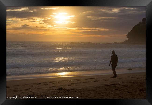 Sunrise at Palm Beach  Framed Print by Sheila Smart