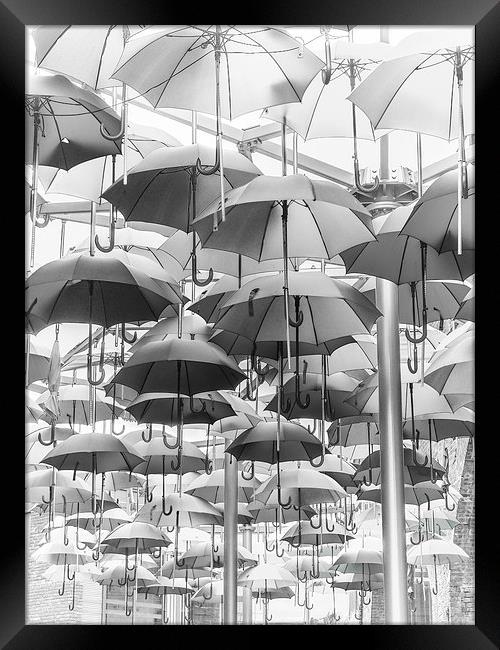 Its Rainin...Umbrellas! Framed Print by LensLight Traveler