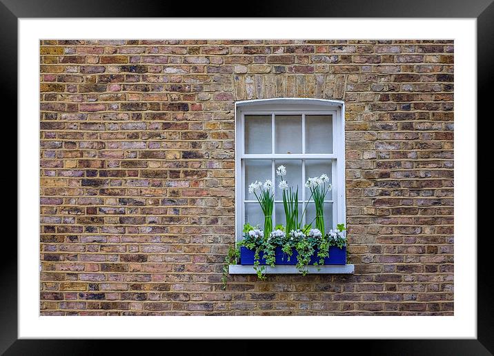  Flower Box Window 2 Framed Mounted Print by LensLight Traveler