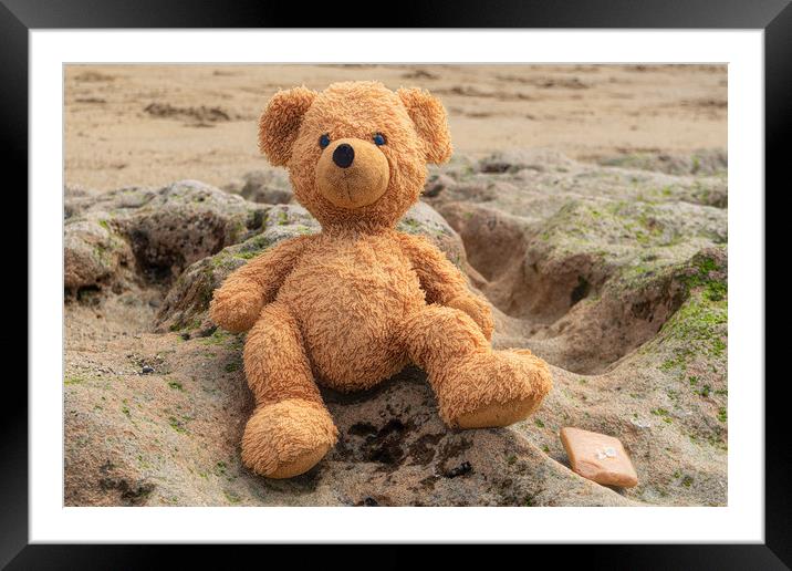 Teddy On The Beach Framed Mounted Print by LensLight Traveler