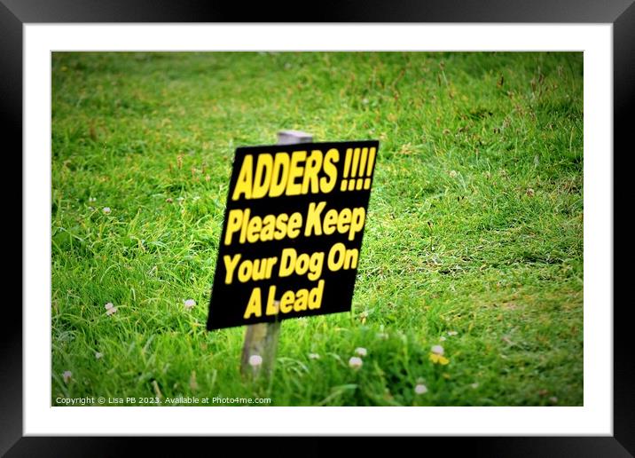 Warning For Adders Framed Mounted Print by Lisa PB
