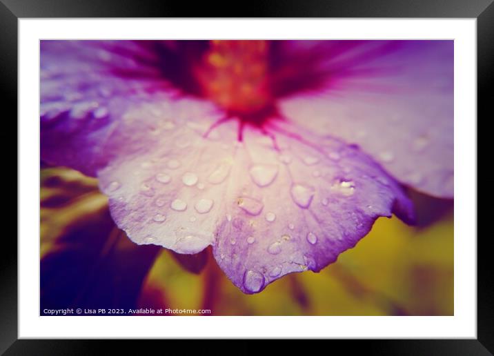 Shades of a Flower Framed Mounted Print by Lisa PB