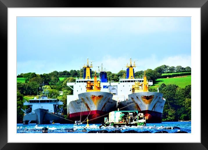 RV Triton, Hellas Reefer, Nederland Reefer and Company Framed Mounted Print by Lisa PB