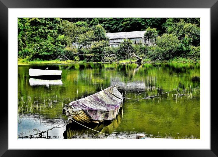 Reflections On The Water Framed Mounted Print by Lisa PB