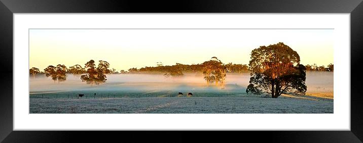 Bowral, NSW Australia, Sun Rise Framed Mounted Print by phil wood