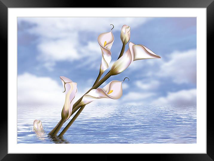 Callas In Water Framed Mounted Print by Lidiya Drabchuk