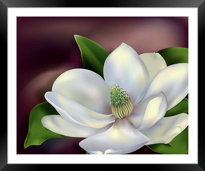 Magnolia Flower Framed Mounted Print by Lidiya Drabchuk