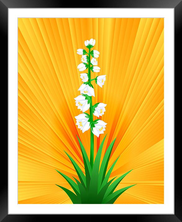 Blooming Yucca Framed Mounted Print by Lidiya Drabchuk