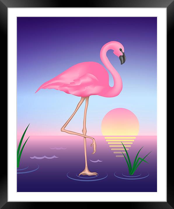 Pink Flamingo Framed Mounted Print by Lidiya Drabchuk