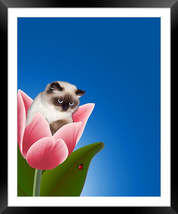 Cat In Tulip Framed Mounted Print by Lidiya Drabchuk